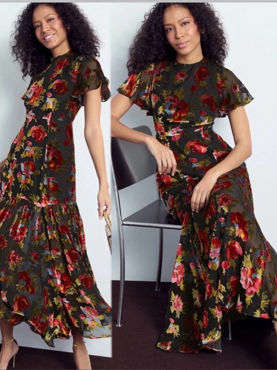 RIXO Dresses & Skirts - Rixo Velvet Floral Gown Floral Maxi Dress with Flutter Sleeves Sz 4